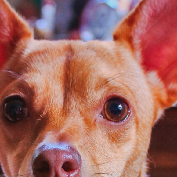 BIG event now!🌈 - Picture 6 of 6